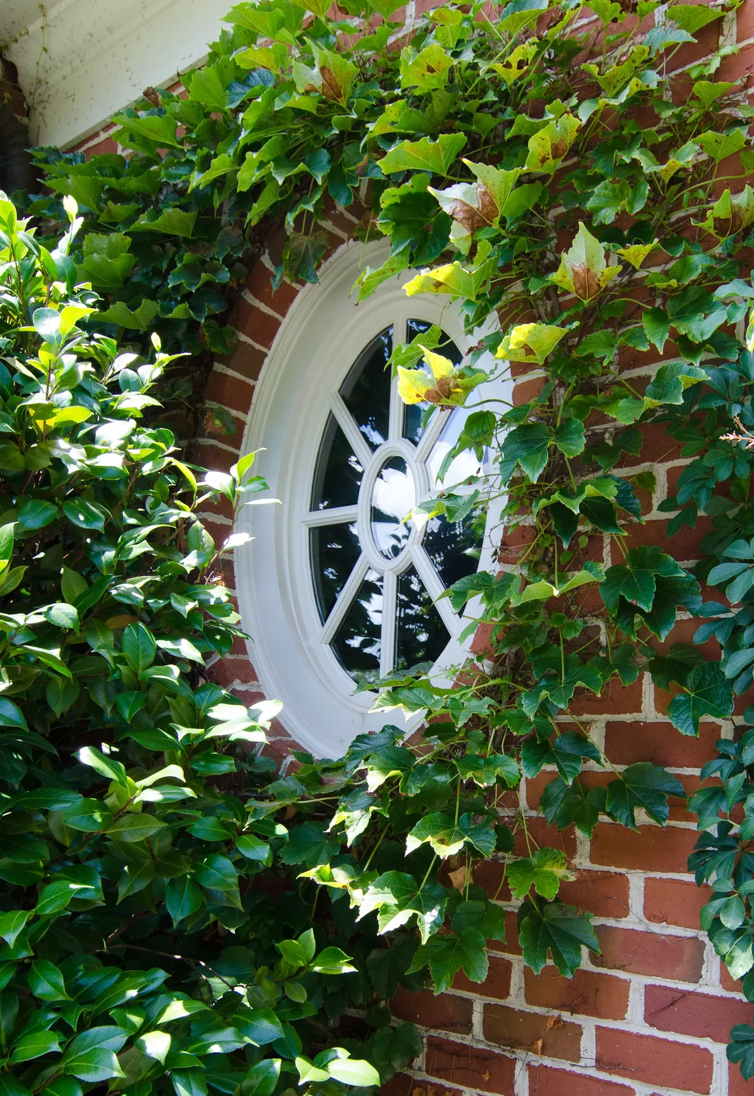 Tuxedo Court, the Isaiah Thomas Estate whole-home in Atlanta, GA, photograph 1